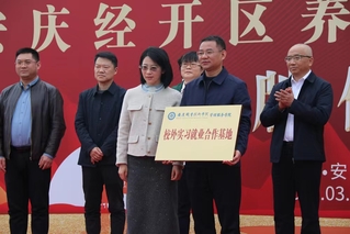 管理服务学院：与经开区养老服务...