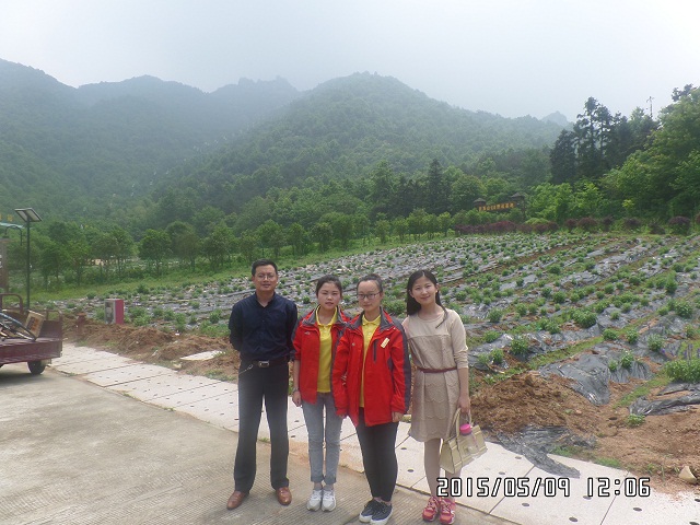 我系看望实习学生 我系看望实习学生
